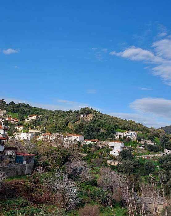 This image for Image Layouts addon